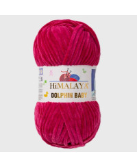 HIMALAYA DOLPHIN BABY